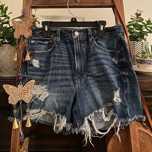 American Eagle Boyfriend Short